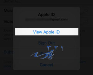 View Apple ID