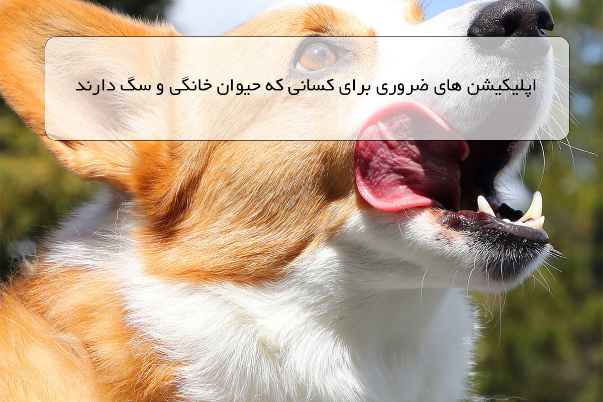 اپلیکیشن های ضروری برای کسانی که حیوان خانگی و سگ دارند